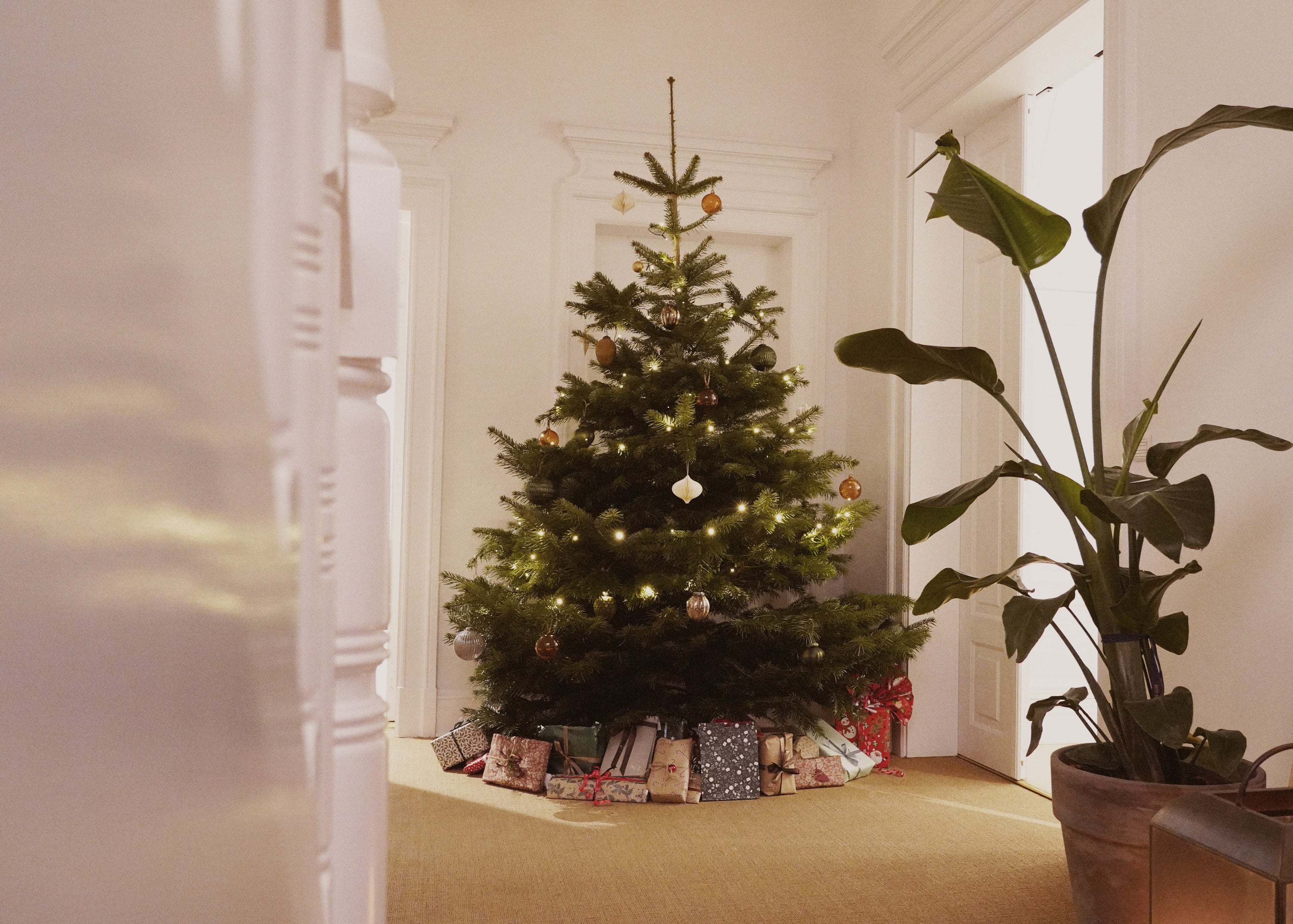 A MOS MOSH Christmas